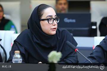 027A0786 copy